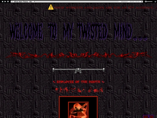 system screenshot