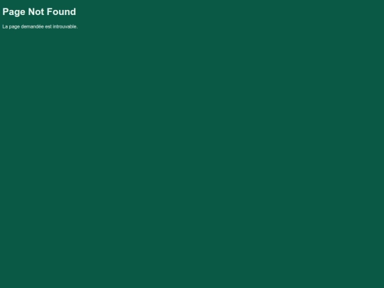 not_found screenshot