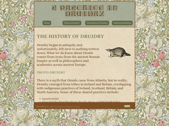 codejam/druidry/history screenshot