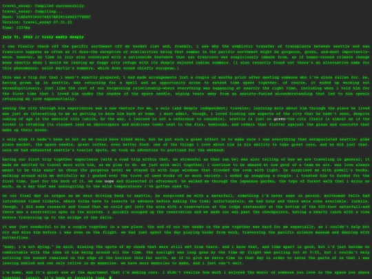 essays2-4 screenshot