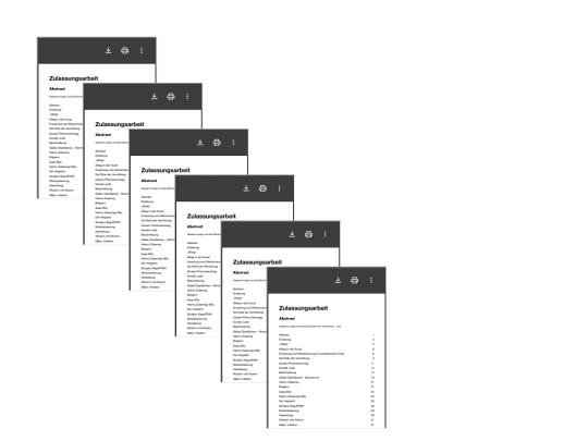 Zulassungsarbeit screenshot
