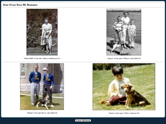 memorials/pets screenshot