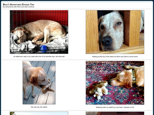 photos/beau2 screenshot
