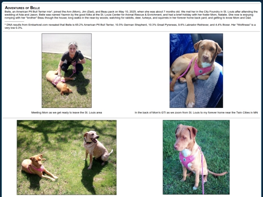 photos/belle1 screenshot