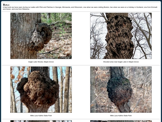 photos/burls screenshot