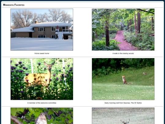 photos/mn screenshot