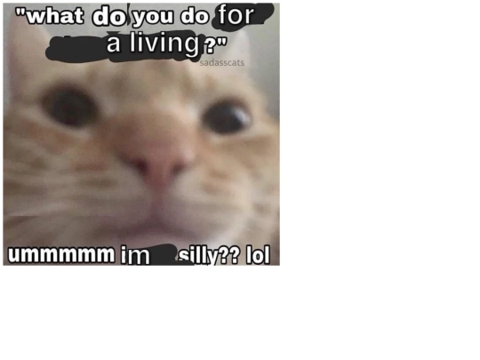 secret screenshot