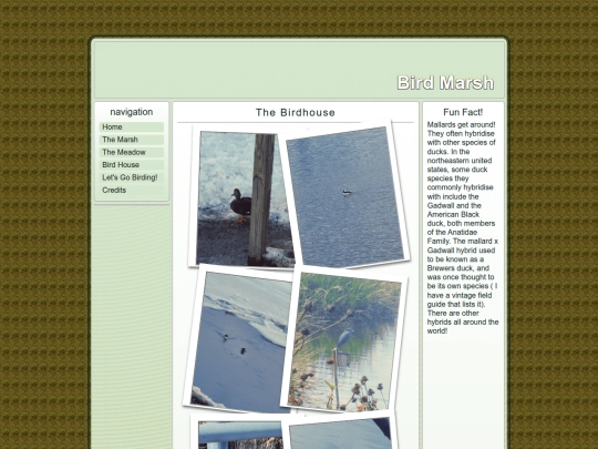 birdhouse screenshot