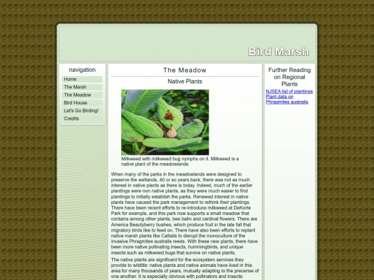 meadow screenshot
