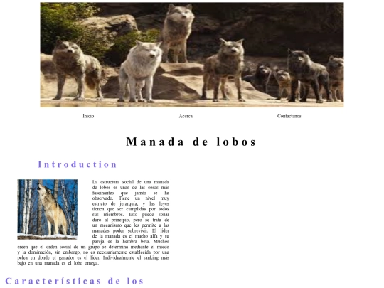 index1 screenshot