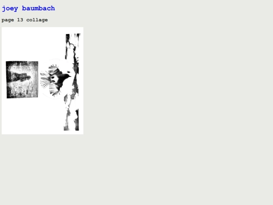 extension pages/page13_collage screenshot