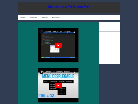 SitioWEB10/Paginas/video screenshot