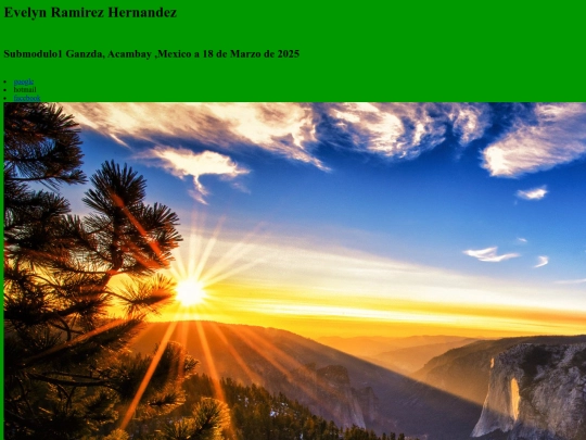 PAGINA WEB screenshot