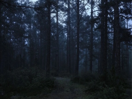 thedoor screenshot