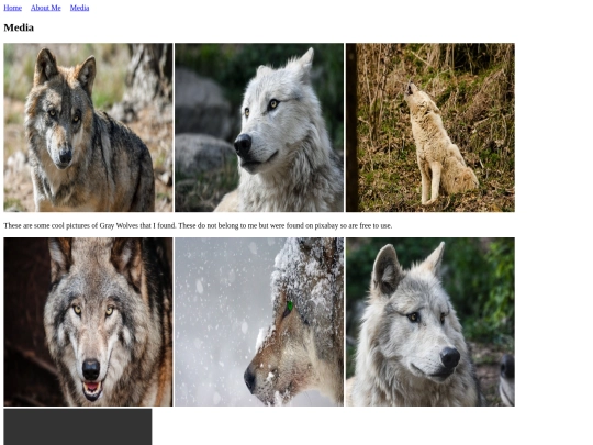 mediapage screenshot