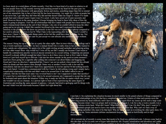 Blogpost9-7-2026 screenshot