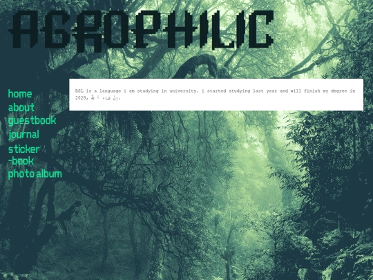 bsl screenshot