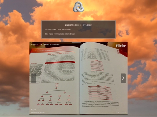 pillar2/y5 screenshot