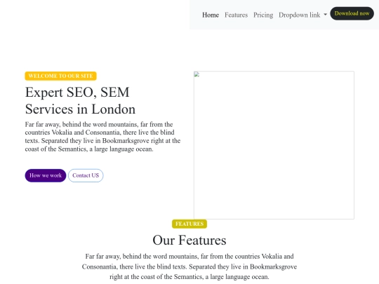 ECHO WEBSITE/index5 screenshot