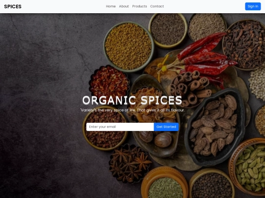 e-commerce website/index2 screenshot
