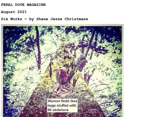 SJXSJC screenshot