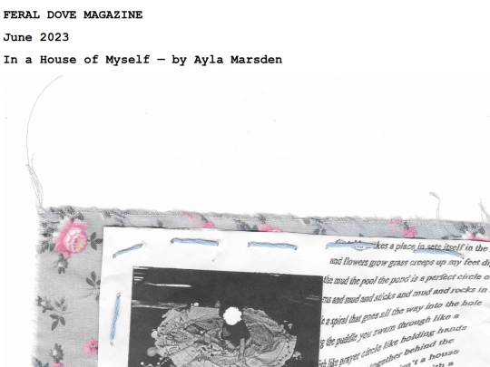 aylamarsden screenshot