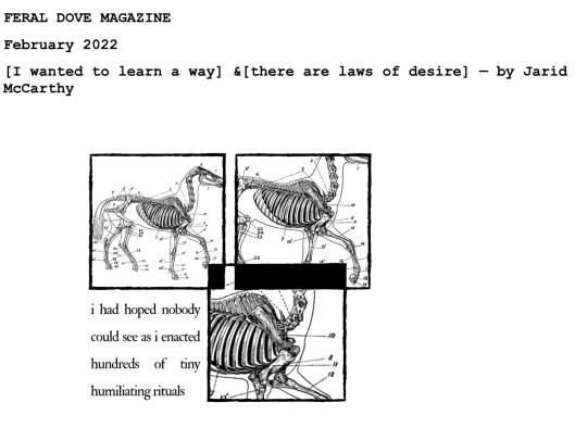 jaridmccarthy screenshot