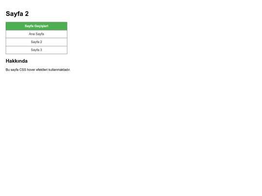 odev4/sayfa2 screenshot