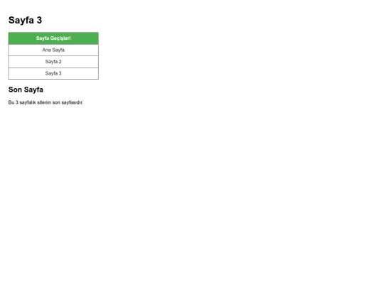 odev4/sayfa3 screenshot