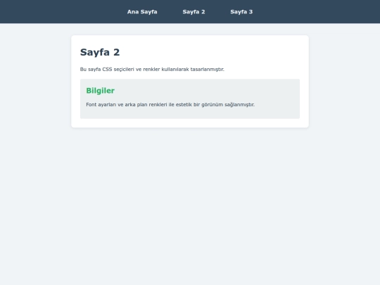 odev5/sayfa2 screenshot
