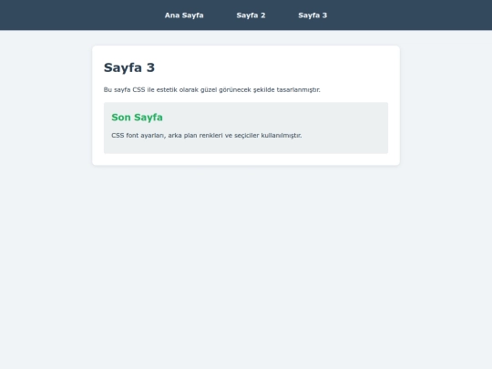 odev5/sayfa3 screenshot