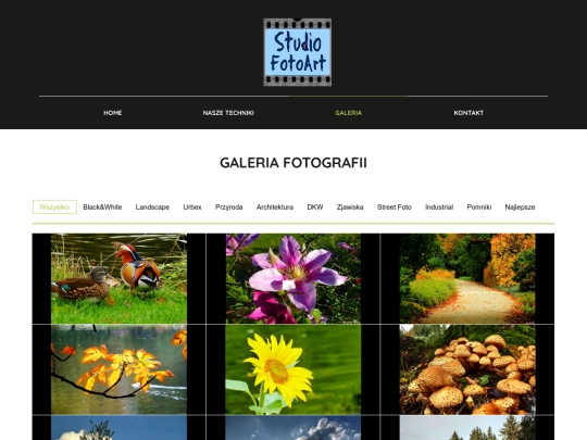 portfolio screenshot
