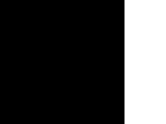MandelScript/doubleSierpinski screenshot
