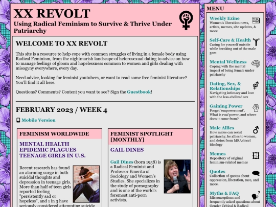 february4 screenshot