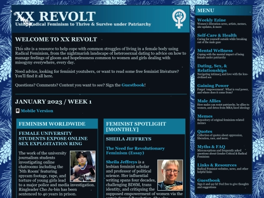 january1 screenshot