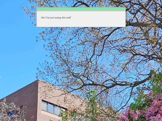 posts/2026-22-09-test screenshot