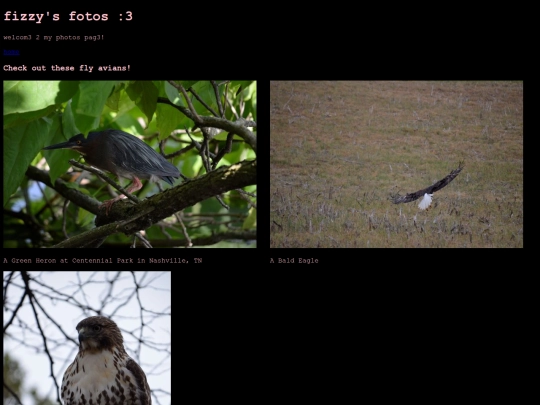 pictures screenshot