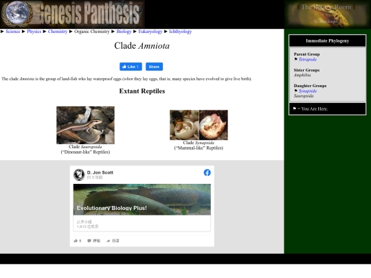 amniota screenshot