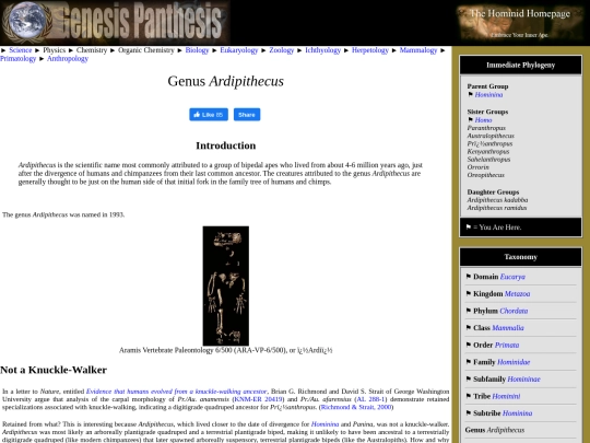 ardipithecus screenshot