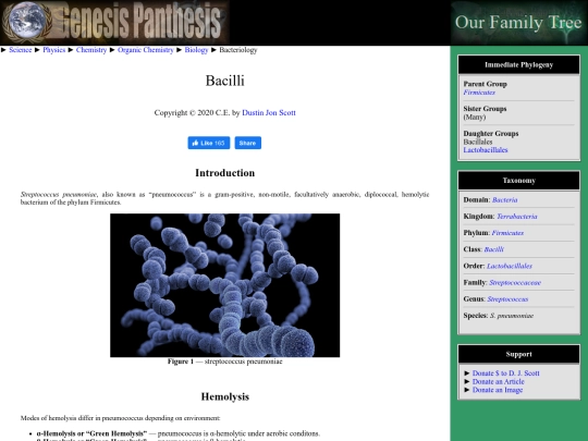 bacilli screenshot