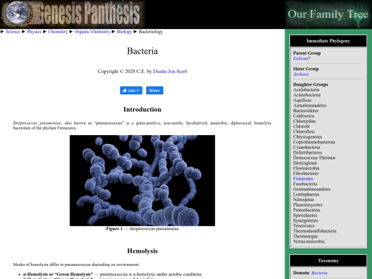 bacteria screenshot