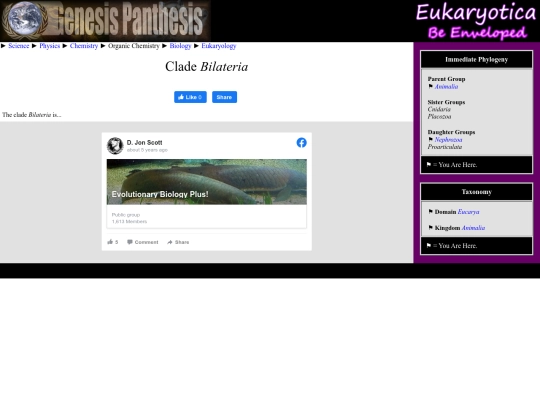 bilateria screenshot