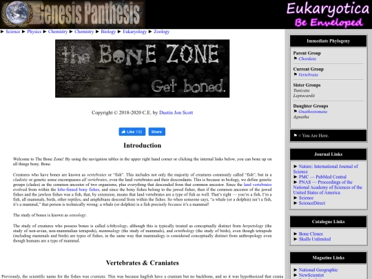 bone screenshot