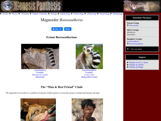 boreoeutheria screenshot