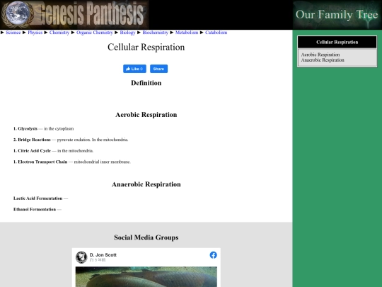 cellular-respiration screenshot
