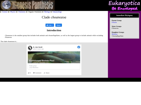 choanozoa screenshot