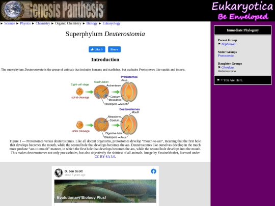 deuterostomia screenshot