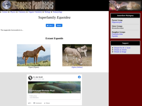 equoidea screenshot