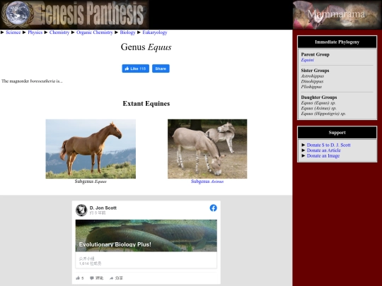 equus screenshot