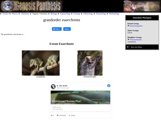 euarchonta screenshot